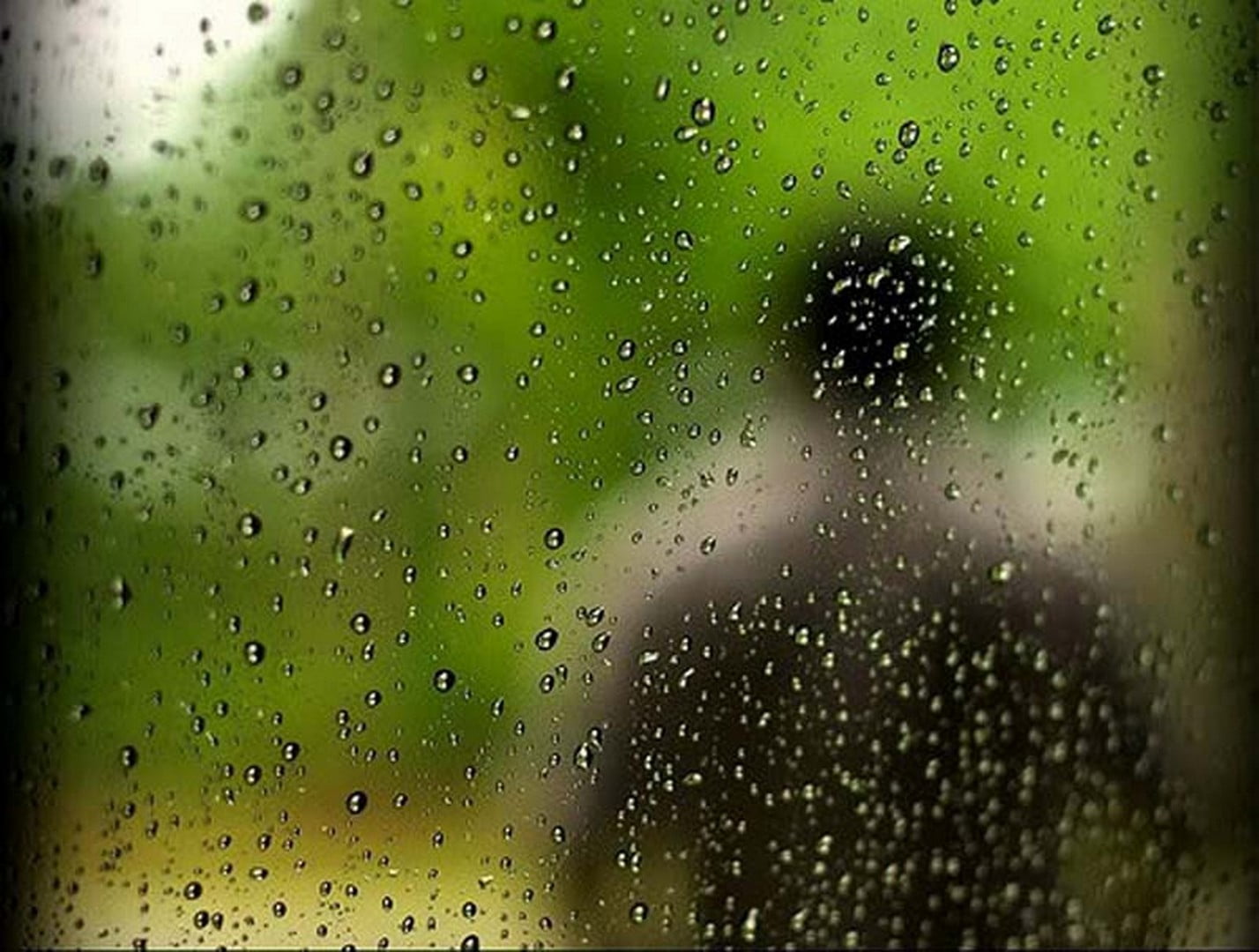 জাহাঙ্গীর ডালিমের “বৃষ্টি ভেজা কবিতা”কাব্য গ্রন্থের মোড়ক উন্মোচন