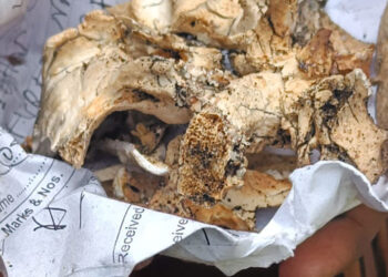 গাজী টায়ারে আগুন ঘটনায় গণশুনানি: প্রথম দিনে নিখোঁজ ৮০ জনের তালিকা  কুড়িয়ে পাওয়া হাড় নিয়ে গেছে স্বজনরা 