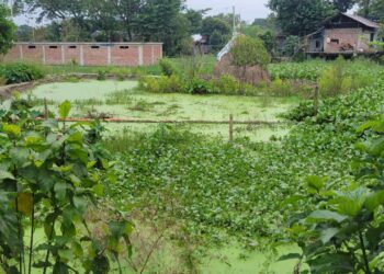 রূপগঞ্জে সীমানা প্রাচীর ভেঙ্গে জমি  দখলের অভিযোগ :Nafiz Ashraf. Tnntv24