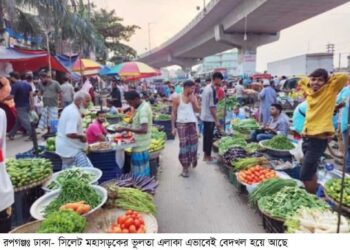 ঢাকা-সিলেট মহাসড়কে রূপগঞ্জের ভুলতা ফের হকারদের দখলে,ভোগান্তিতে যাত্রী পথচারী। Nafiz Ashraf. Tnntv24