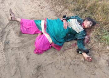 পূর্বাচলে  নারীর  গলাকাটা  লাশের পরিচয় মিলেছে : Nafiz Ashraf.Tnntv24