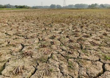 রূপগঞ্জে সেচের পানির অভাবে বোরো আবাদ ব্যাহত, ক্ষতির সম্মুখে কৃষকরা । Nafiz Ashraf. Tnntv24