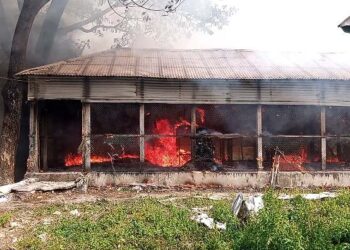 রূপগঞ্জে মুরগির খামারে ভয়াবহ অগ্নিকান্ড।।১০ লাখ টাকার ক্ষতি । Nafiz Ashraf.Tnntv24