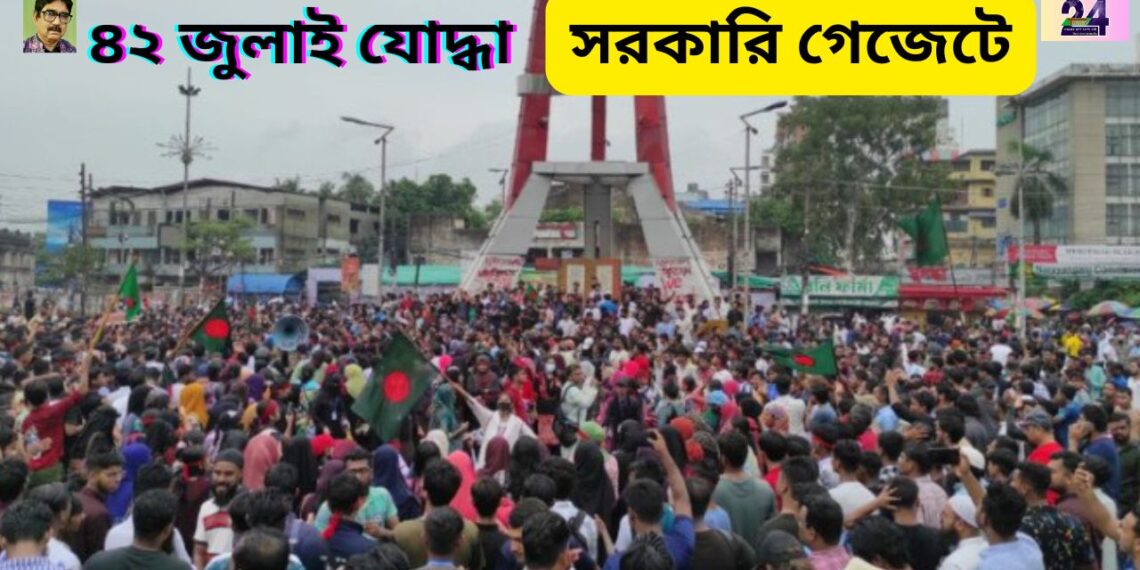 নারায়ণগঞ্জের ৪২ জন জুলাই যোদ্ধা সরকারি গেজেটে । Nafiz Ashraf.Tnntv24