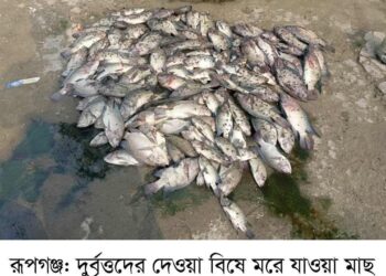 রূপগঞ্জে বিষ দিয়ে পুকুরের মাছ নিধনের  অভিযোগ, হ্যাচারী ভাঙচুর, অগ্নিসংযোগ:NAfiz Ashraf.Tnntv24