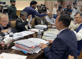 প্রতিদিন আলোচনার বিষয়গুলো প্রধান উপদেষ্টাকে অবহিত করা হয়-ড.আলী রীয়াজ।Nafiz Ashraf.Tnntv24