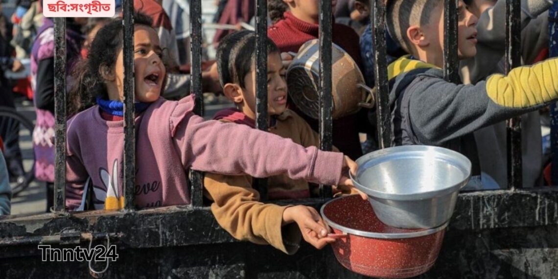 গাজাবাসীর ক্ষুধার যন্ত্রনা! খাবার আর রক্ত যোগানদেয়া জরুরী।Nafiz Ashraf.Tnntv24