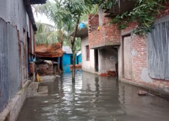 রূপগঞ্জে পানি নিষ্কাশন খাল ভরাটের অভিযোগ,৭ গ্রামের ২০ হাজার মানুষ পানি বন্ধি: Nafiz Ashraf.Tnntv24