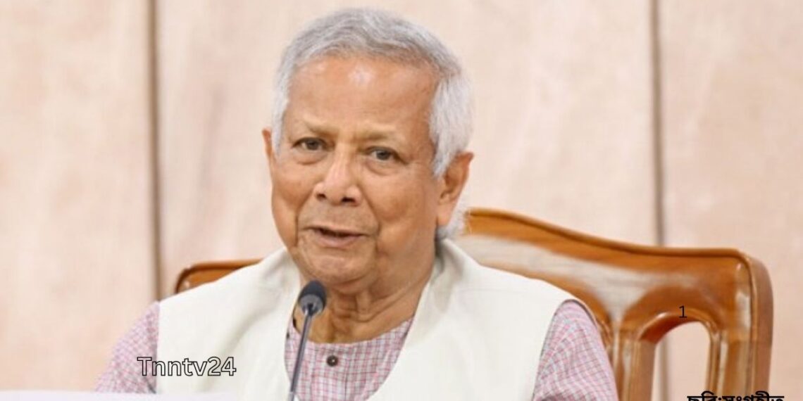 প্রধান উপদেষ্টা ড.ইউনূস বলেছেন,স্বৈরাচার যেন আর মাথাচাড়া দিতে না পারে: Nafiz Ashraf.Tnntv24