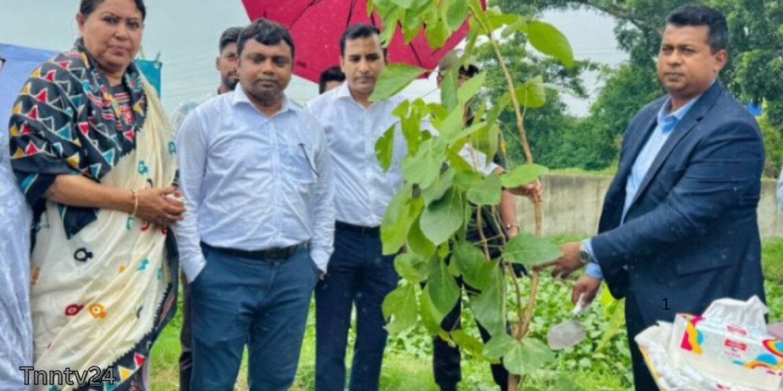 দেড় হাজার গাছের চাড়া রোপন কর্মসূচির উদ্বোধন করলেন জেলা প্রশাসক:Nafiz Ashraf.Tnntv24