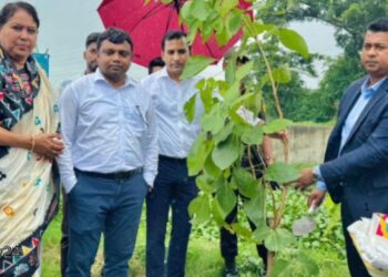 দেড় হাজার গাছের চাড়া রোপন কর্মসূচির উদ্বোধন করলেন জেলা প্রশাসক:Nafiz Ashraf.Tnntv24