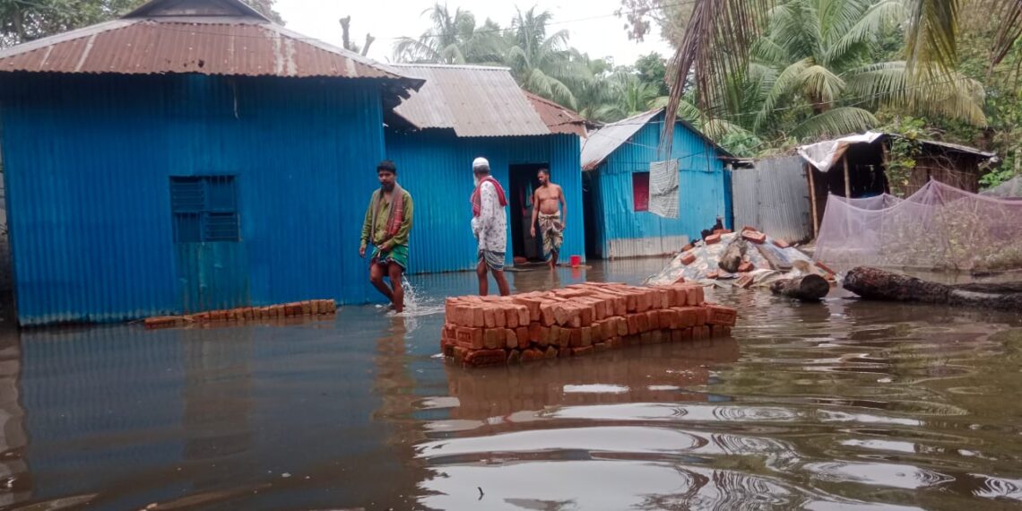 সরকারি খালে পাকা স্থাপনা-বাগান বাড়ি উদ্ধারে নেই কোন উদ্যোগ ! Nafiz Ashraf.Tnntv24