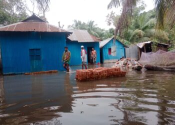সরকারি খালে পাকা স্থাপনা-বাগান বাড়ি উদ্ধারে নেই কোন উদ্যোগ ! Nafiz Ashraf.Tnntv24