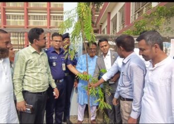 রূপগঞ্জে ইউনিয়ন পরিষদ ভবন, সড়ক ও  বৃক্ষরোপণ কর্মসূচির উদ্বোধন: Nafiz Ashraf.Tnntv24