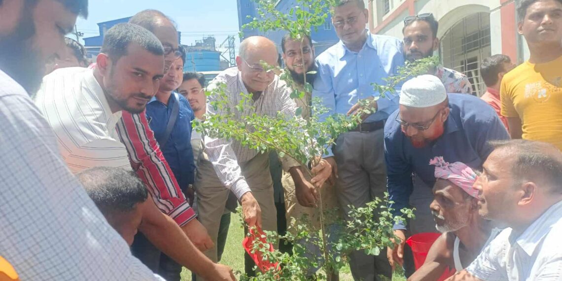 রূপগঞ্জে বৃক্ষ রোপন কর্মসূচি উদ্বোধন : Nafiz Ashraf.Tnntv24