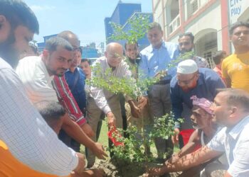 রূপগঞ্জে বৃক্ষ রোপন কর্মসূচি উদ্বোধন : Nafiz Ashraf.Tnntv24