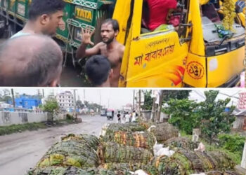 রূপগঞ্জে সড়কদূর্ঘটনায়  পান ব্যবসায়ী নিহত : Nafiz Ashraf.Tnntv24