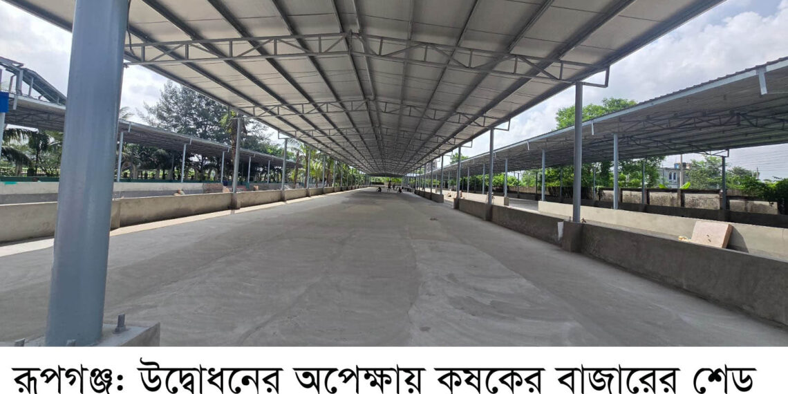 পূর্বাচল ৩০০ ফিটে কৃষকের বাজার ১০অক্টোবর শুক্রবার উদ্বোধন:Nafiz Ashraf.Tnntv24