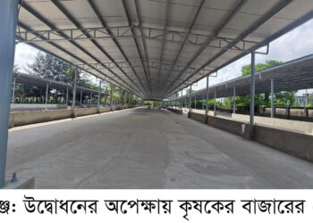 পূর্বাচল ৩০০ ফিটে কৃষকের বাজার ১০অক্টোবর শুক্রবার উদ্বোধন:Nafiz Ashraf.Tnntv24