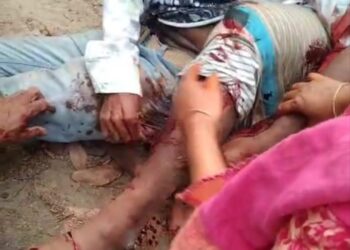 রূপগঞ্জে  ছেলের হামলায় বাবা ও বড়ভাই  টেটাবিদ্ধ// তিনটি দেশি অস্ত্র উদ্ধার: Tnntv24