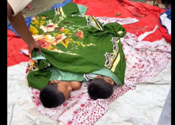 নারায়ণগঞ্জের আড়াইহাজারে নানার বাড়িতে বেড়াতে এসে গোসল করতে নেমে পানিতে ডুবে দুই ভাইয়ের মৃত্যু।Tnntv24