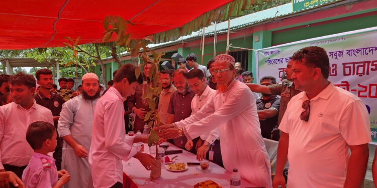 রূপগঞ্জে সামাজিক সংগঠনের উদ্যোগে ফলজ ও বনজ বৃক্ষের  চারা রোপণ ও বিতরণ:Tnntv24 
