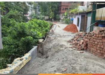 সরকারী সেচ খাল ভরাট করে ইউপি চেয়ারম্যানের ব্যক্তিগত রাস্তা নির্মাণের অভিযোগ:Tnntv24