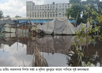 ইটিপি চালু রাখার দাবি: রূপগঞ্জে ডায়িং কারখানার বিরুদ্ধে পরিবেশ বিপন্নের অভিযোগ, পানি দূষণে মাছের মৃত্যু ও ফসলি জমি ক্ষতিগ্রস্থ:Tnntv24