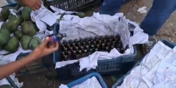রূপগঞ্জে আমের ক্যারেটের আড়ালে ফেনসিডিল পাচার, র্যাব-১১ এর অভিযানে ৩৭৭ বোতল উদ্ধার:Tnntv24