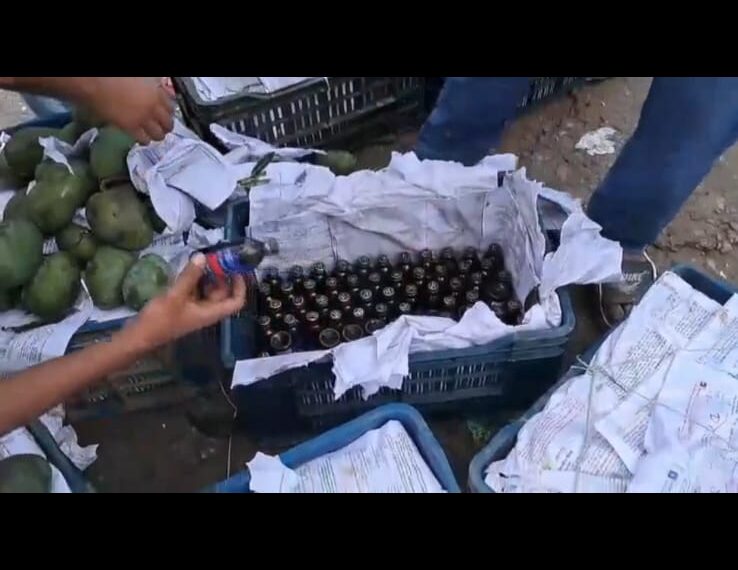 রূপগঞ্জে আমের ক্যারেটের আড়ালে ফেনসিডিল পাচার, র্যাব-১১ এর অভিযানে ৩৭৭ বোতল উদ্ধার:Tnntv24