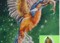 মার্কস অলরাউন্ডার প্রতিভা অন্বেষণ: রূপগঞ্জের সহিতুন্নেছা পাইলট বালিকা উচ্চ বিদ্যালয়ের ছাত্রী হাদিকা হানিফ হিমি ঢাকা বিভাগে দ্বিতীয়:Tnntv24
