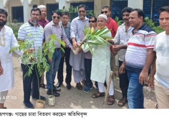 মুড়াপাড়া ডিগ্রি কলেজে চারা গাছ বিতরণ ও বৃক্ষরোপন :Tnntv24