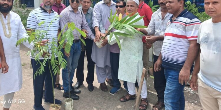 মুড়াপাড়া ডিগ্রি কলেজে চারা গাছ বিতরণ ও বৃক্ষরোপন :Tnntv24