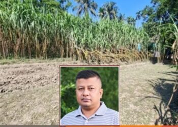 রূপগঞ্জে ১০ লাখ টাকা চাঁদা না দেওয়ায় আখ ক্ষেত ভাংচুরের ঘটনায়৷ পুলিশ সুপারের কাছে লিখিত অভিযোগ:Tnntv24
