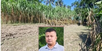 রূপগঞ্জে ১০ লাখ টাকা চাঁদা না দেওয়ায় আখ ক্ষেত ভাংচুরের ঘটনায়৷ পুলিশ সুপারের কাছে লিখিত অভিযোগ:Tnntv24