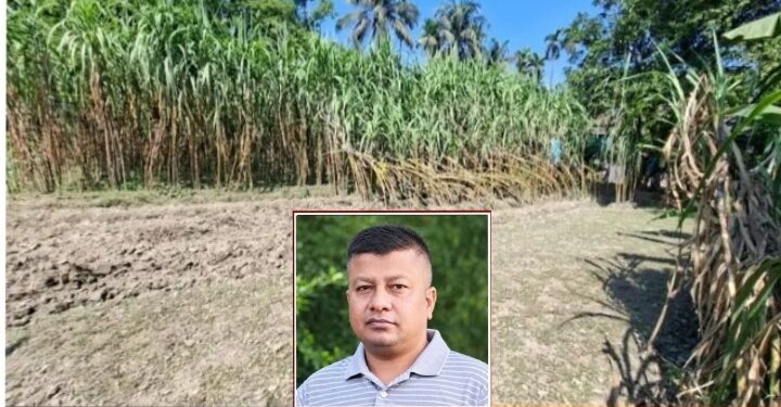 রূপগঞ্জে ১০ লাখ টাকা চাঁদা না দেওয়ায় আখ ক্ষেত ভাংচুরের ঘটনায়৷ পুলিশ সুপারের কাছে লিখিত অভিযোগ:Tnntv24