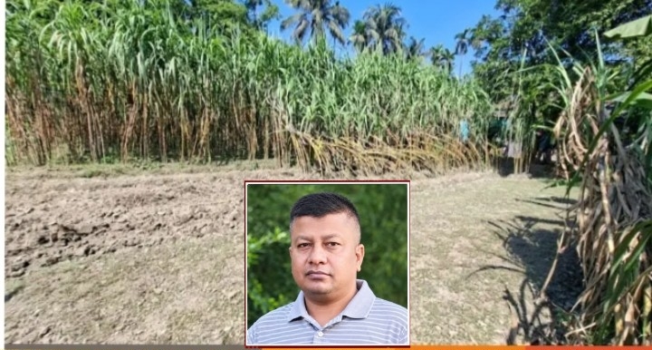 রূপগঞ্জে ১০ লাখ টাকা চাঁদা না দেওয়ায় আখ ক্ষেত ভাংচুরের ঘটনায়৷ পুলিশ সুপারের কাছে লিখিত অভিযোগ:Tnntv24