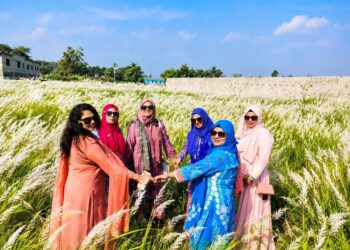 কাশফুল শুধু সৌন্দর্য নয়,অনেকের  জীবিকা ওবটে:Tnntv24