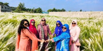 কাশফুল শুধু সৌন্দর্য নয়,অনেকের জীবিকা ওবটে:Tnntv24